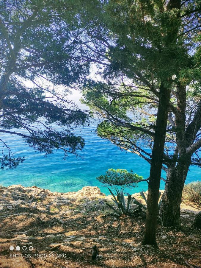 Villa Radic Makarska Ngoại thất bức ảnh